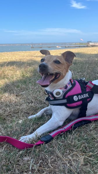 WhatsApp Image 2025-02-04 at 15.01.58