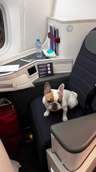 WhatsApp Image 2025-02-04 at 15.43.26