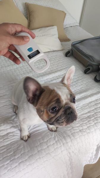 WhatsApp Image 2025-02-04 at 15.45.25