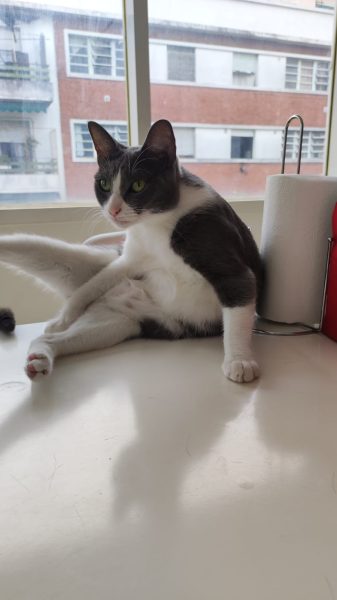 WhatsApp Image 2025-02-05 at 08.32.03 (1)