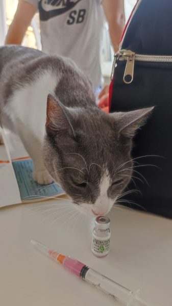 WhatsApp Image 2025-02-05 at 08.32.12