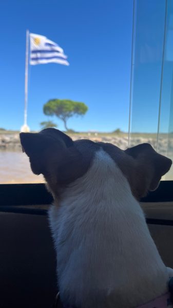 WhatsApp Image 2025-02-07 at 15.28.32