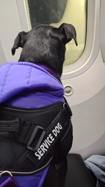 WhatsApp Image 2025-03-15 at 17.18.20