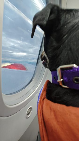 WhatsApp Image 2025-03-15 at 17.18.21 (1)