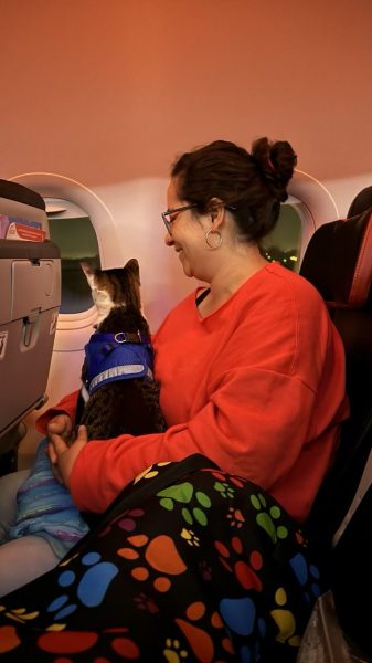 WhatsApp Image 2025-03-15 at 17.18.21