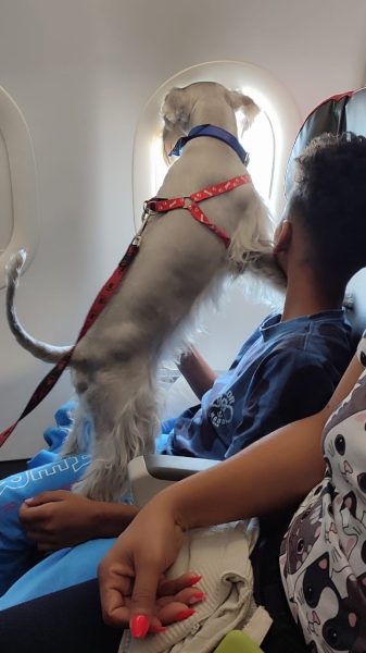 WhatsApp Image 2025-03-15 at 17.18.23