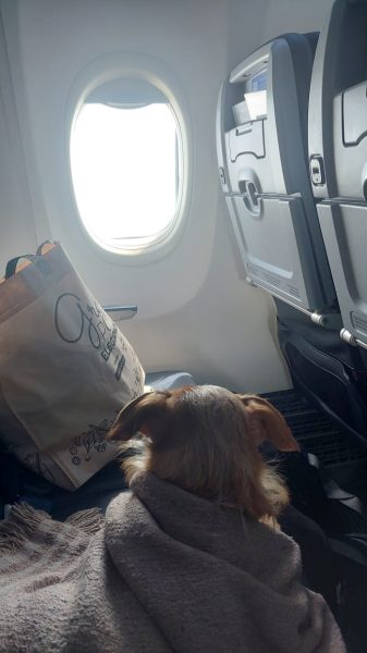 WhatsApp Image 2025-03-16 at 10.05.23